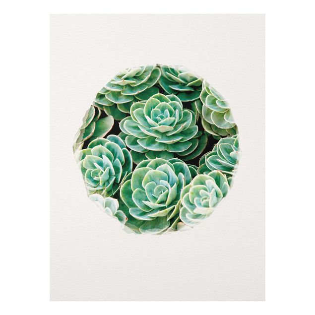 Prints flower Water Colours - Green Succulents
