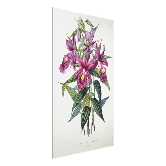 Orchid canvas Maxim Gauci - Orchid I