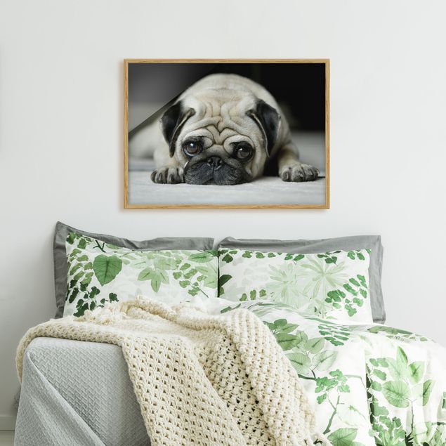 Abstract canvas wall art Pug Loves You