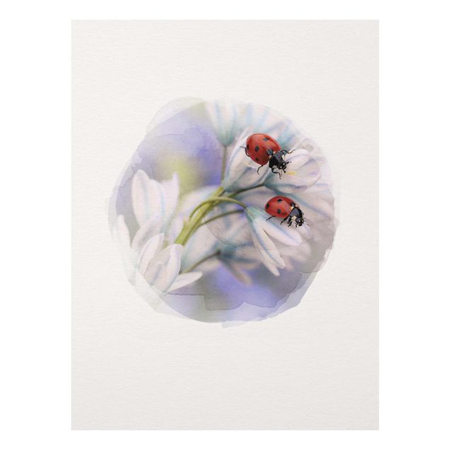 Floral picture Water Colours - Ladybug Couple