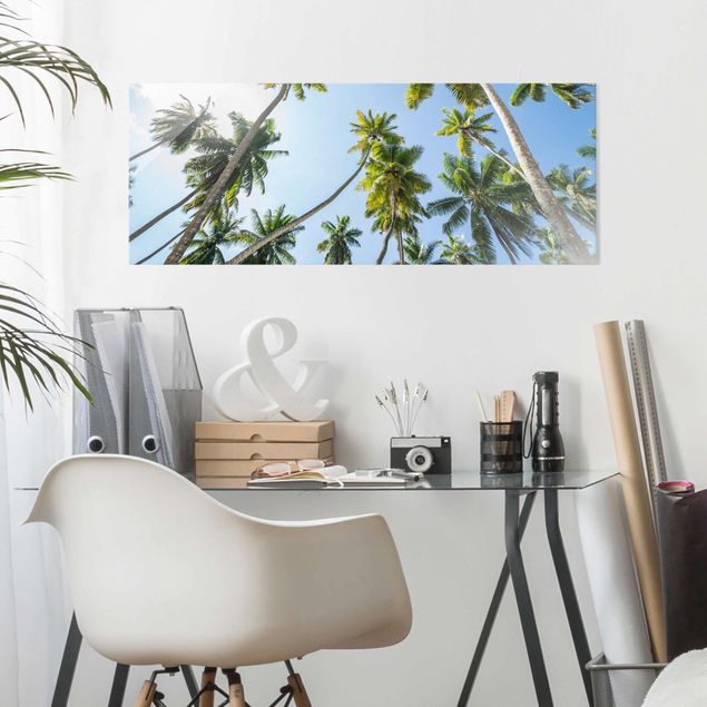 Glass prints landscape Palm Tree Canopy