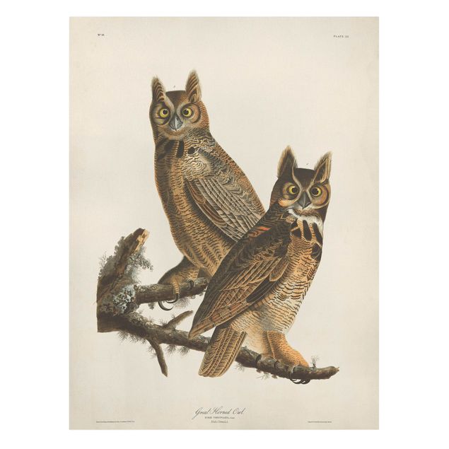 Retro photo prints Vintage Board Two Large Owls