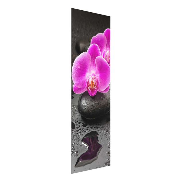 Glass prints flower Pink Orchid Flower On Stones With Drops
