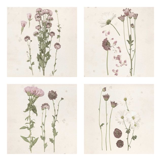 Floral picture Herbarium In Pink Set I