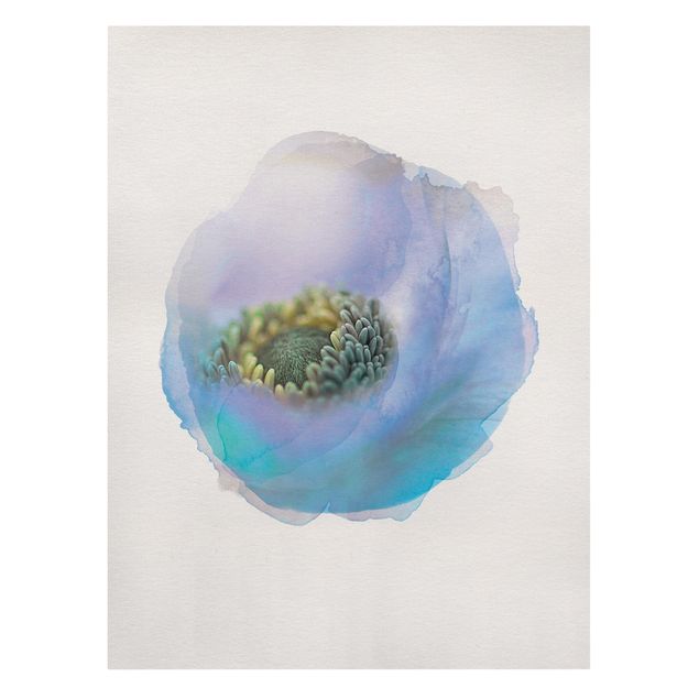 Prints WaterColours - Anemone On The River
