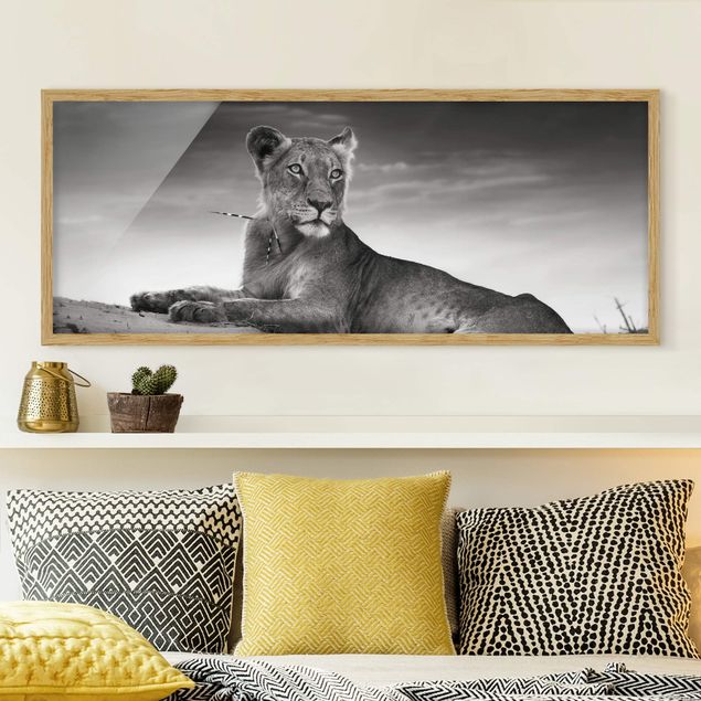 Animal canvas Resting Lion