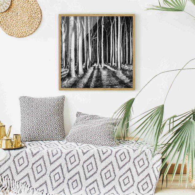 Trees on canvas Spooky Forest
