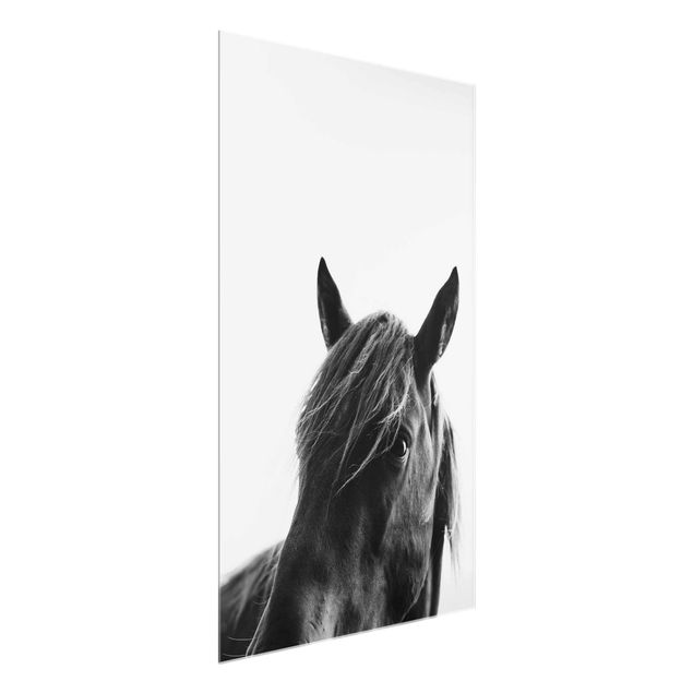 Glass prints pieces Curious Horse