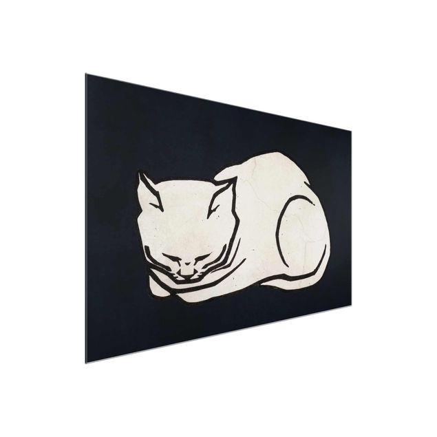 Glass prints pieces Sleeping Cat Illustration