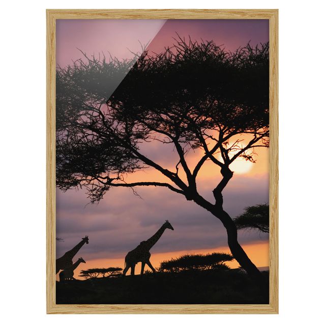 Prints trees African Safari