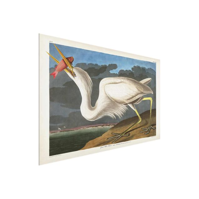 Prints vintage Vintage Board Great White Egret