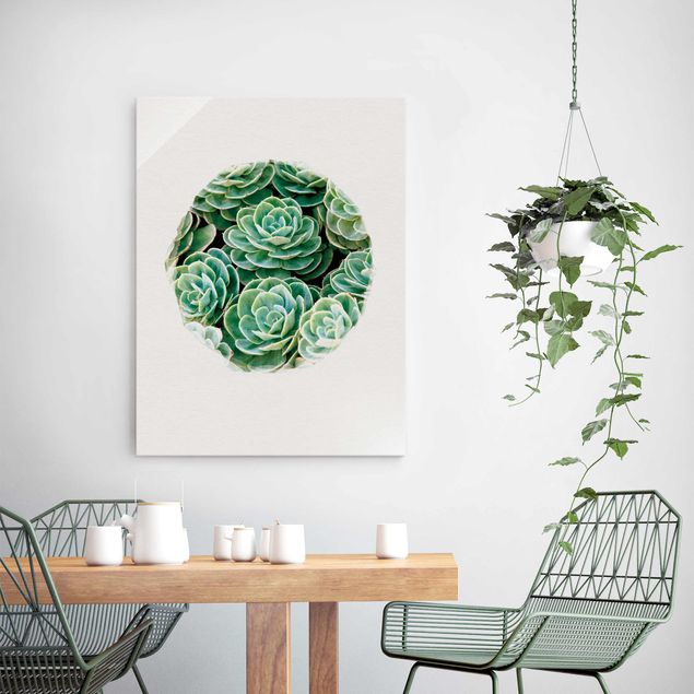 Kitchen Water Colours - Green Succulents