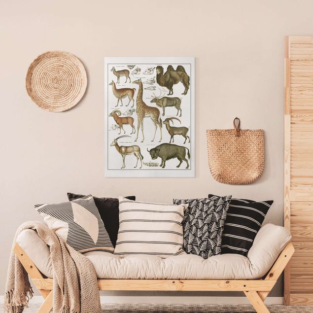 Prints landscape Vintage Board Giraffe, Camel And IIama
