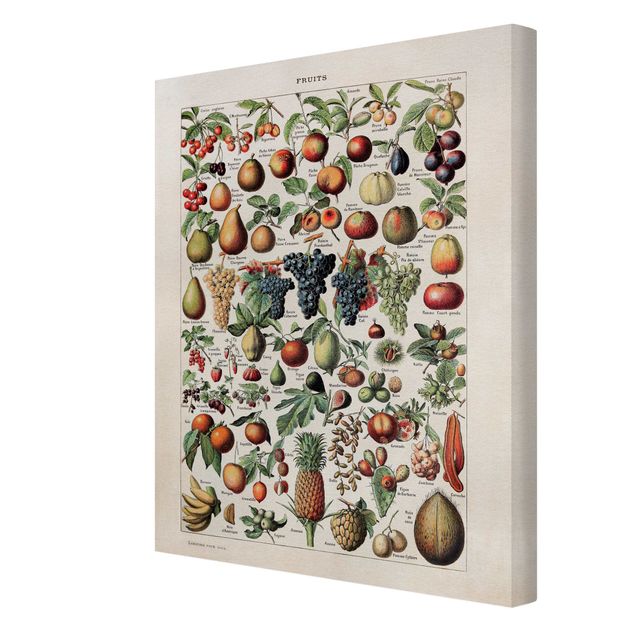 Prints multicoloured Vintage Board Fruits