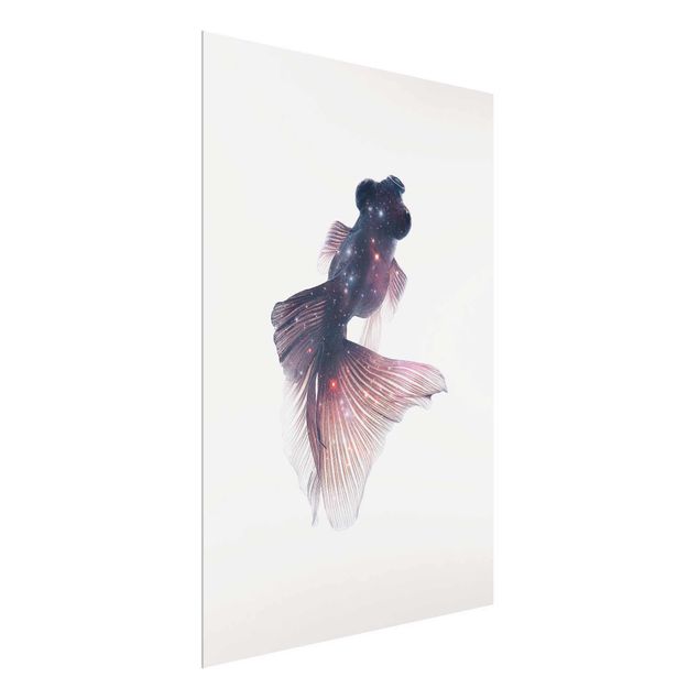 Art prints Fish With Galaxy