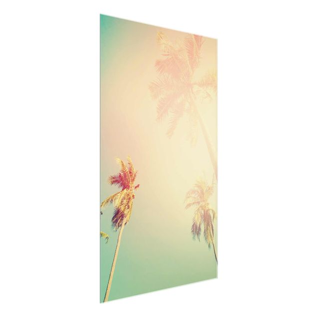 Glass prints flower Tropical Plants Palm Trees At Sunset IIl