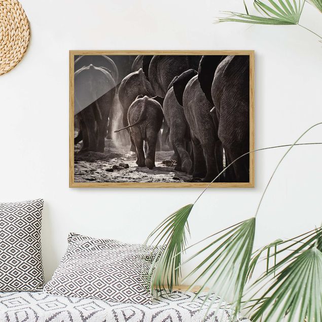 Prints elefant Going Home