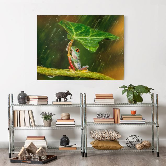Canvas prints frog Frog In The Rain