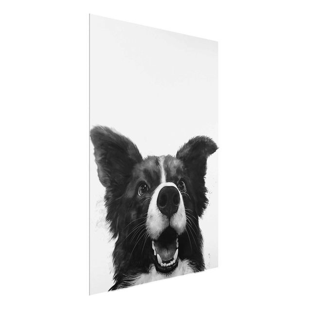 Glass prints black and white Illustration Dog Border Collie Black And White Painting