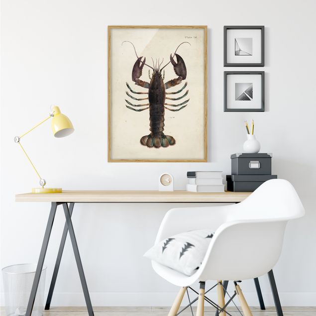 Prints vintage Vintage Illustration Lobster