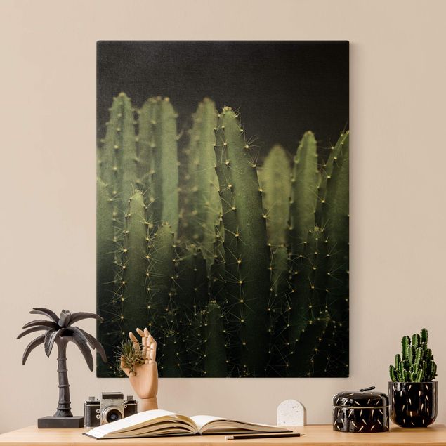Prints flower Desert Cactus At Night