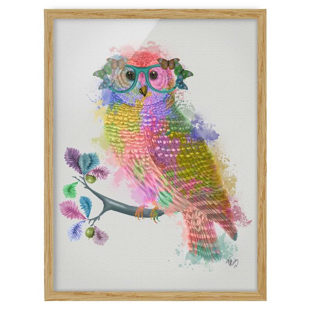 Animal framed pictures Rainbow Splash Owl