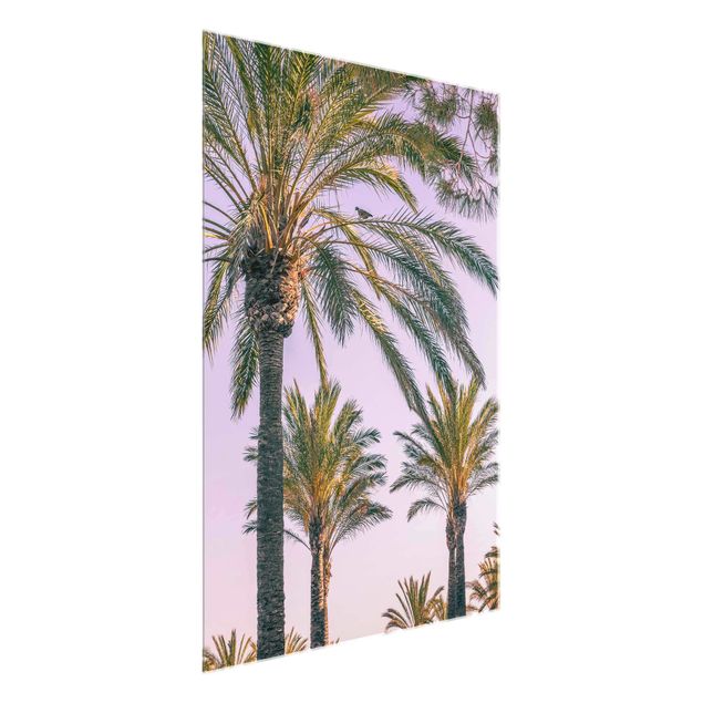 Glass prints flower Palm Trees At Sunset