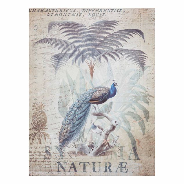 Prints blue Shabby Chic Collage - Peacock
