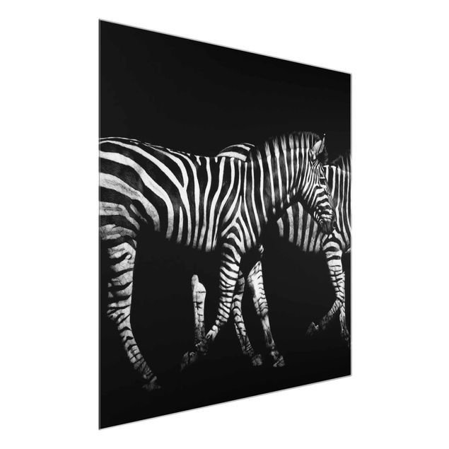Glass prints pieces Zebra In The Dark
