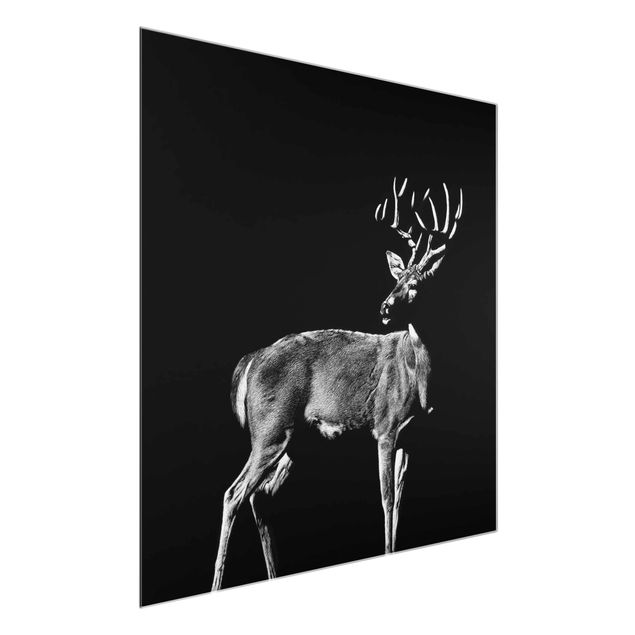 Glass prints pieces Deer In The Dark