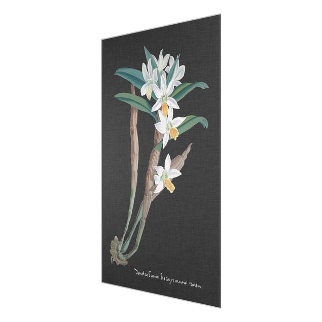 Prints floral White Orchid On Linen I