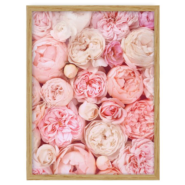 Flower pictures framed Roses Rosé Coral Shabby