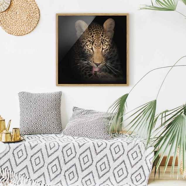 Contemporary art prints Resting Leopard