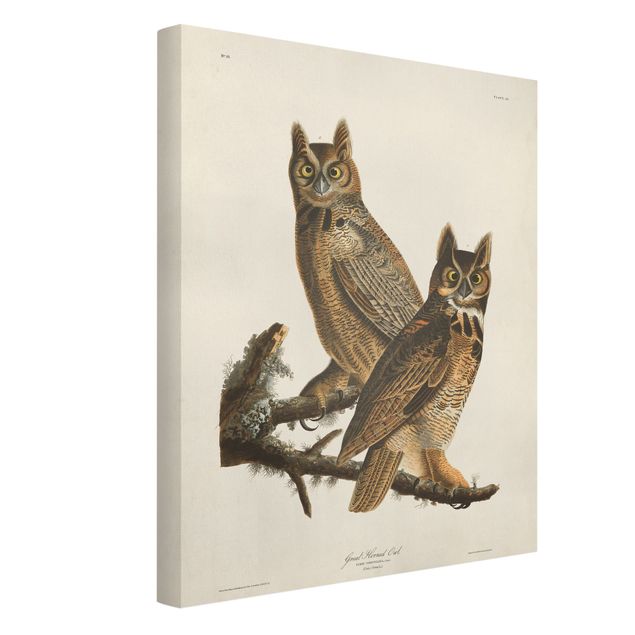 Animal canvas Vintage Board Two Large Owls
