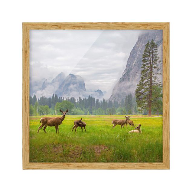Animal canvas Deer In The Mountains