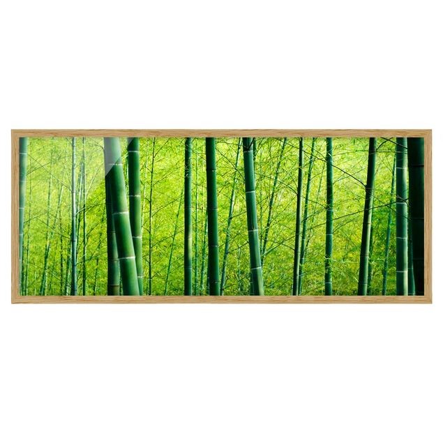 Bamboo print Bamboo Forest