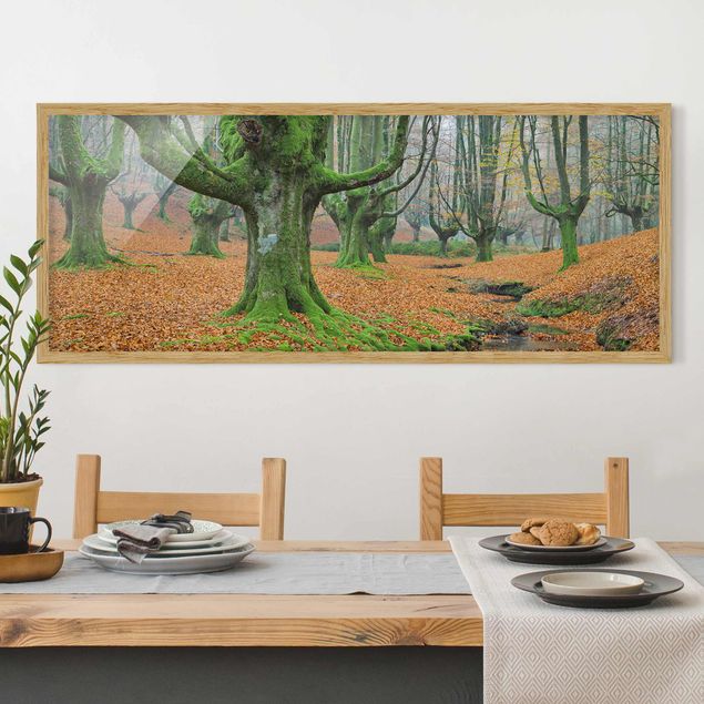 Landscape canvas prints Beech Forest In The Gorbea Natural Park In Spain