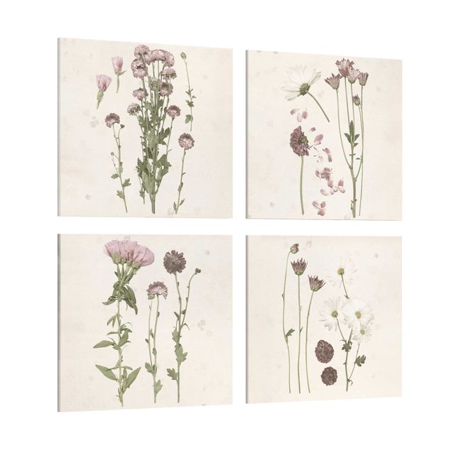 Prints Herbarium In Pink Set I