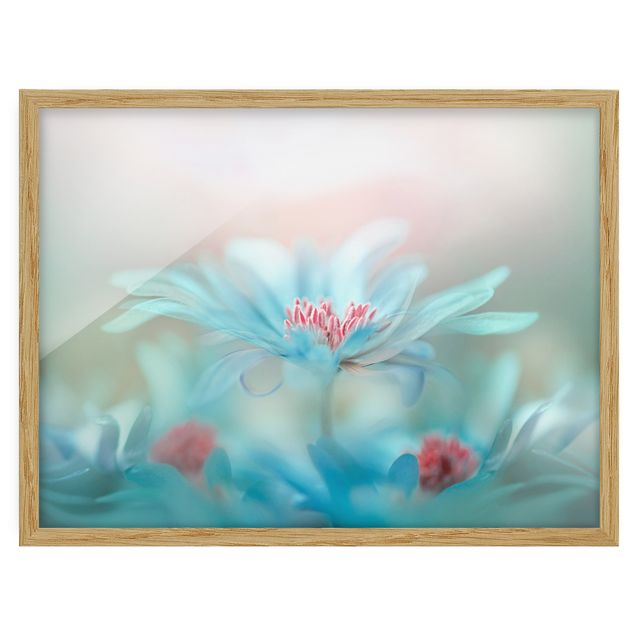 Flowers framed Delicate Flowers In Pastel
