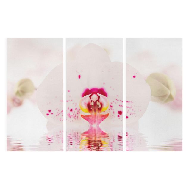 Prints flower Dotted Orchid On Water