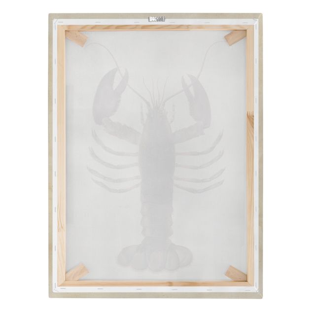 Canvas prints Vintage Illustration Lobster