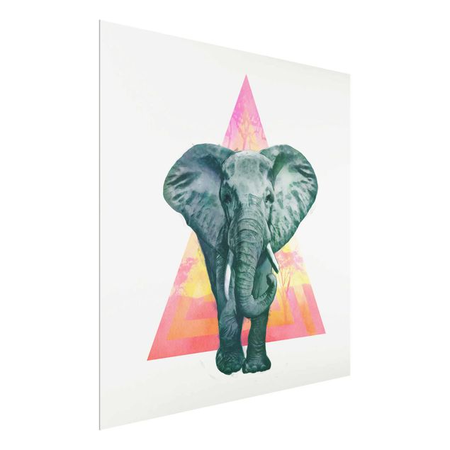 Glass prints pieces Illustration Elephant Front Triangle Painting
