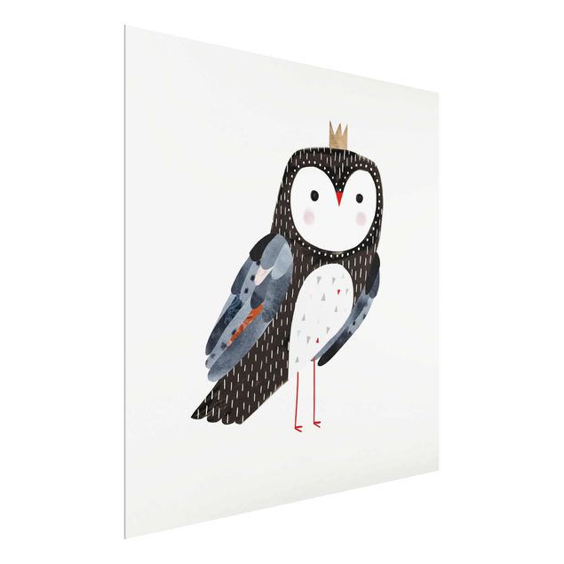 Glass prints pieces Crowned Owl Dark