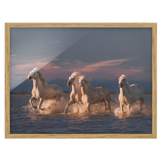 Modern art prints Wild Horses In Kamargue