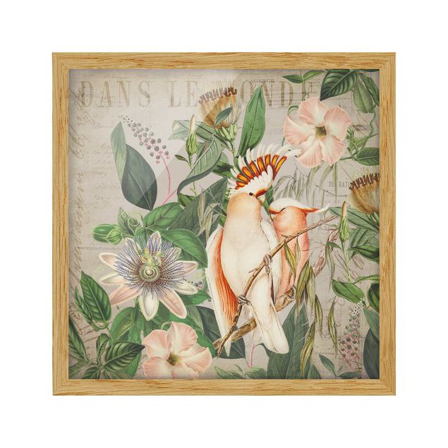 Animal canvas Colonial Style Collage - Galah