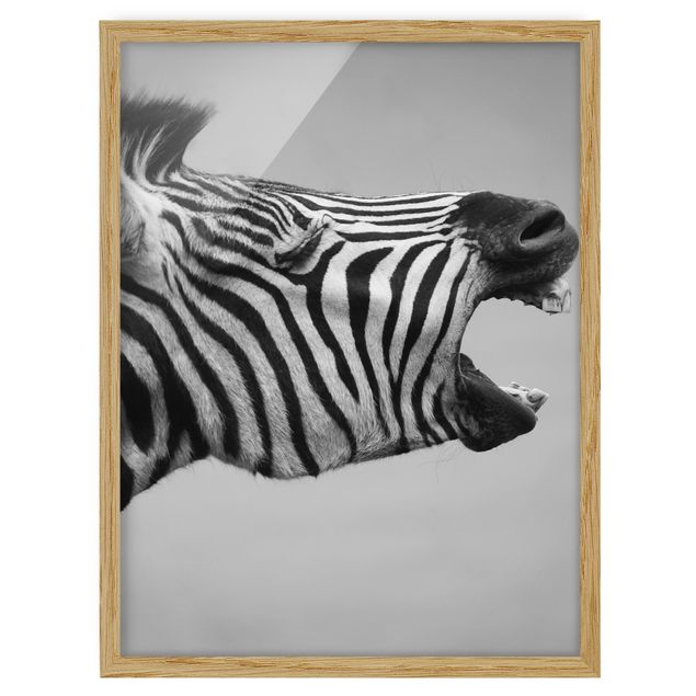 Modern art prints Roaring Zebra ll