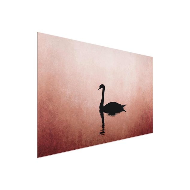 Glass prints landscape Swan In Sunset