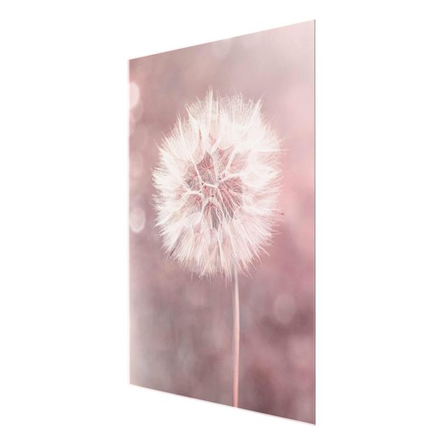 Pink art canvas Dandelion Bokeh Light Pink