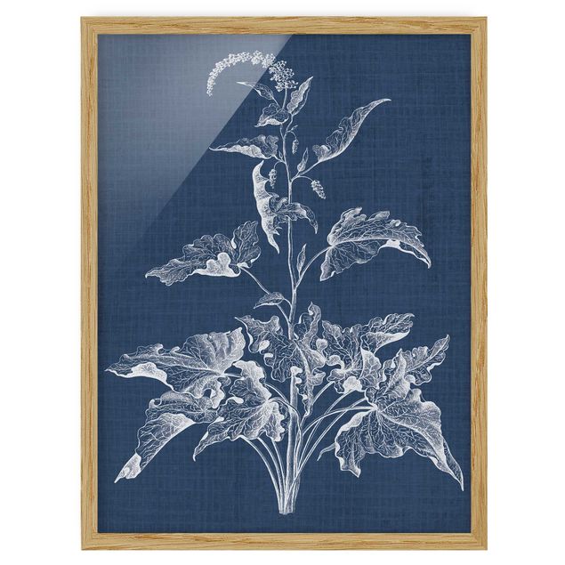 Framed floral Denim Plant Study II