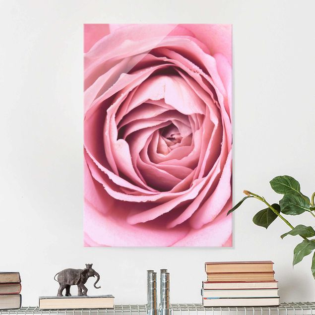 Glas Magnetboard Pink Rose Blossom